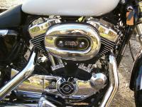Harley-Davidson Sportster 1200 Low 2007 &#8211; Découvrir l&rsquo;Amérique