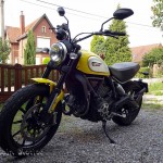 Ducati Scrambler Icon