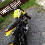 ducati scrambler Icon